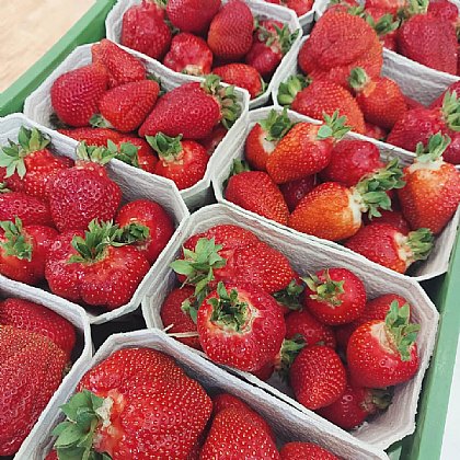 Regionale Erdbeeren