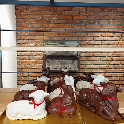 Herde in Schwarz und Weiß