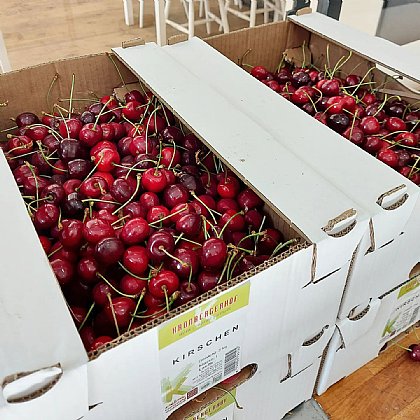 Regionale Kirschen