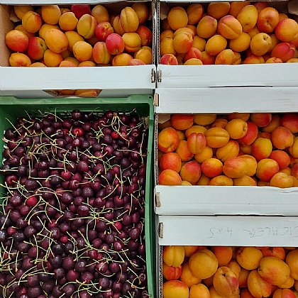 Regionale Sommerfrüchte